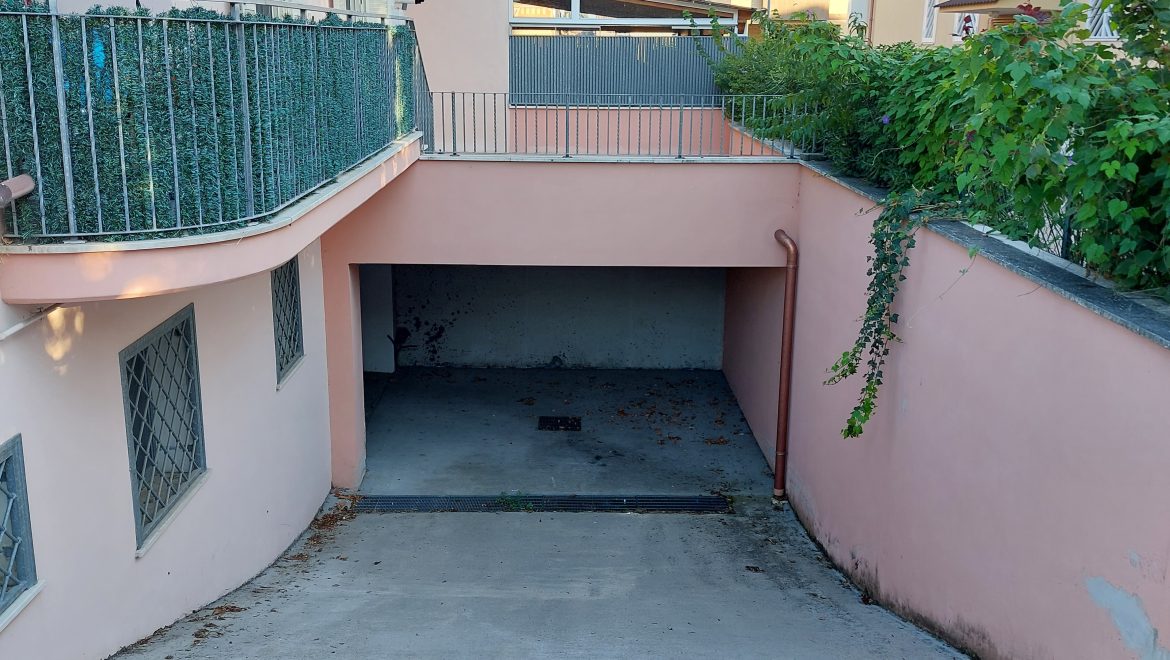 video image