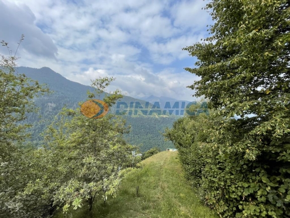 ALBAREDO PER SAN MARCO PROPONIAMO BAITA DI MONTAGNA