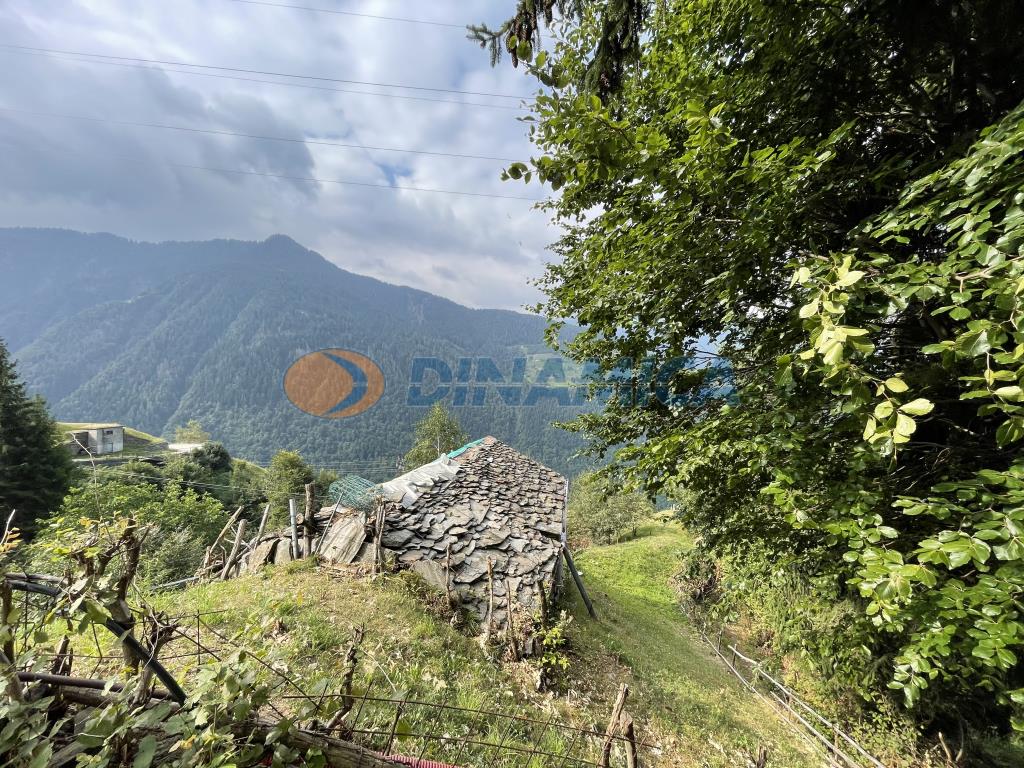6632d1ea-e526-47ba-9b93-fb4da70f7e8a ALBAREDO PER SAN MARCO PROPONIAMO BAITA DI MONTAGNA