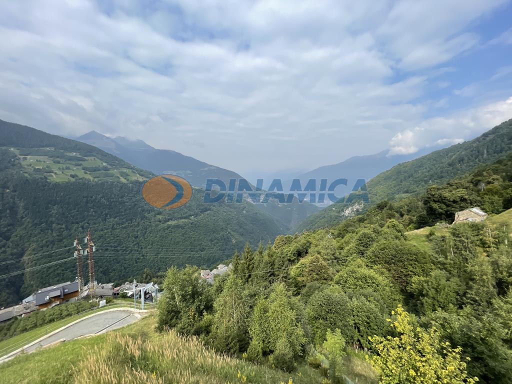 72e5470f-2076-4240-808b-7bda1db0104b ALBAREDO PER SAN MARCO PROPONIAMO BAITA DI MONTAGNA
