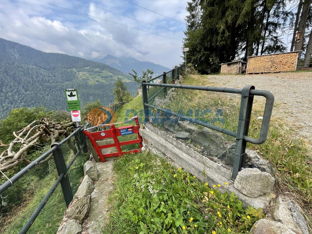 af781a66-9695-4df3-b17a-25cca653b1c6 ALBAREDO PER SAN MARCO PROPONIAMO BAITA DI MONTAGNA