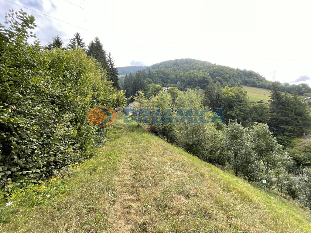 b1fa8dc6-1ed4-4b8e-9965-9b16a9d29018 ALBAREDO PER SAN MARCO PROPONIAMO BAITA DI MONTAGNA