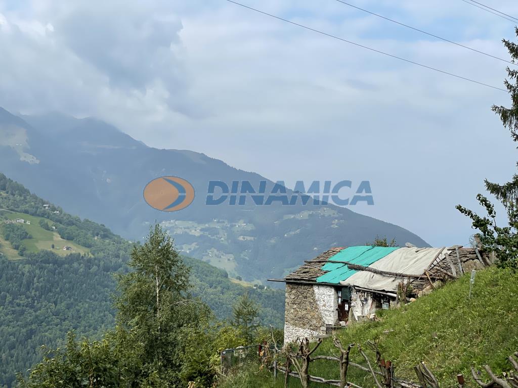 db7ca850-41bd-4f01-8a78-b9fa27e1c260 ALBAREDO PER SAN MARCO PROPONIAMO BAITA DI MONTAGNA