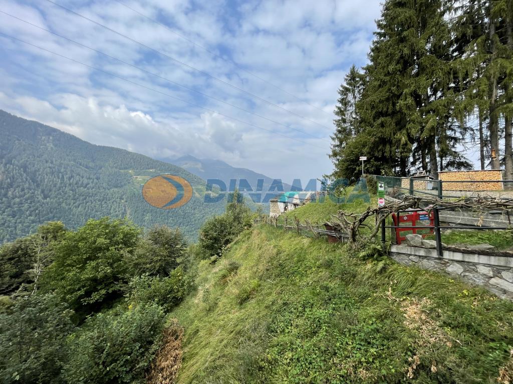 dfb3ce60-69cf-4bc0-99fc-24863eeb5177 ALBAREDO PER SAN MARCO PROPONIAMO BAITA DI MONTAGNA