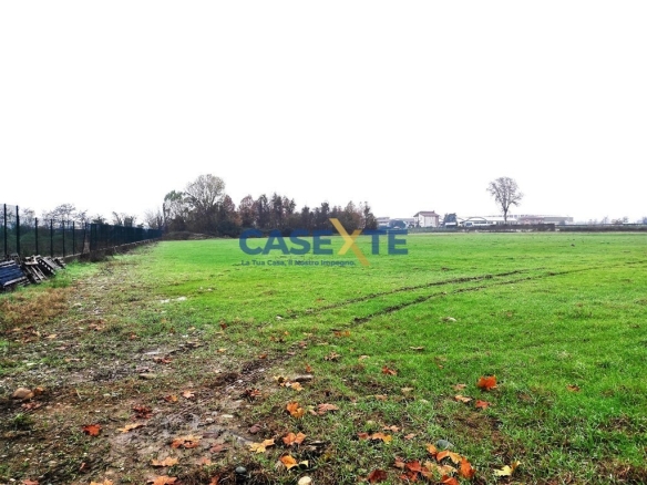 TERRENO AGRICOLO MQ 28.000