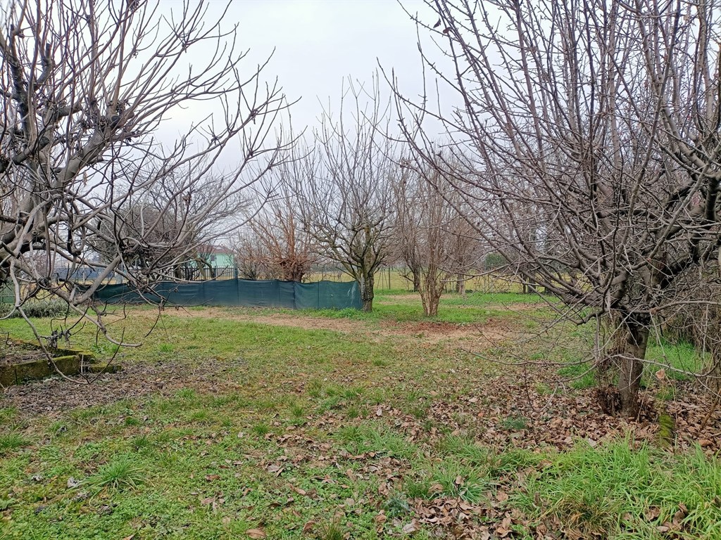 0e5b055b-f6fc-4182-a870-23df275ba880 Terreno recintato pianeggiante con doppio ingresso