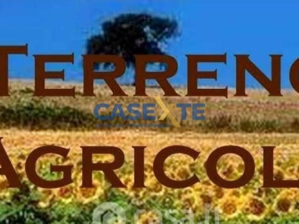 TERRENO AGRICOLO MQ 9.426