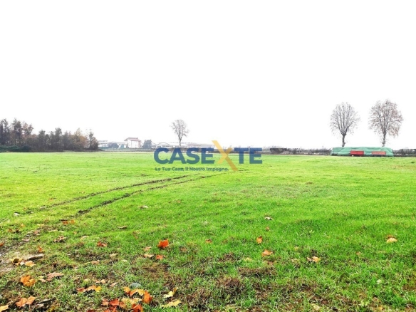 TERRENO AGRICOLO MQ 28.000
