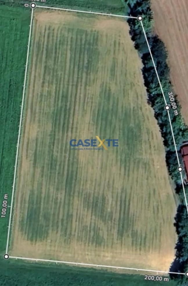 79ad708b-1d54-41fd-b11e-6618f06af1d4 TERRENO AGRICOLO MQ 9.426