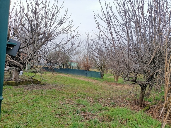 Terreno recintato pianeggiante con doppio ingresso