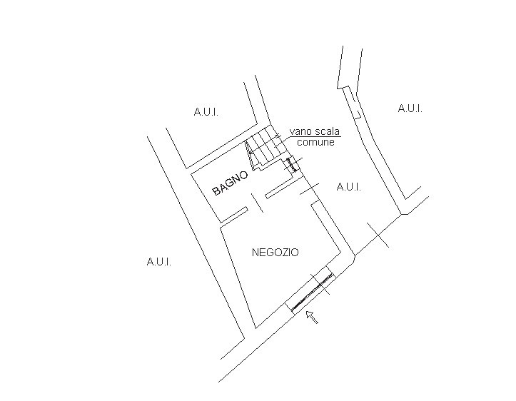 e474c450-712a-4f3e-b8d3-513e5bd19329 NEGOZIO COMMERCIALE