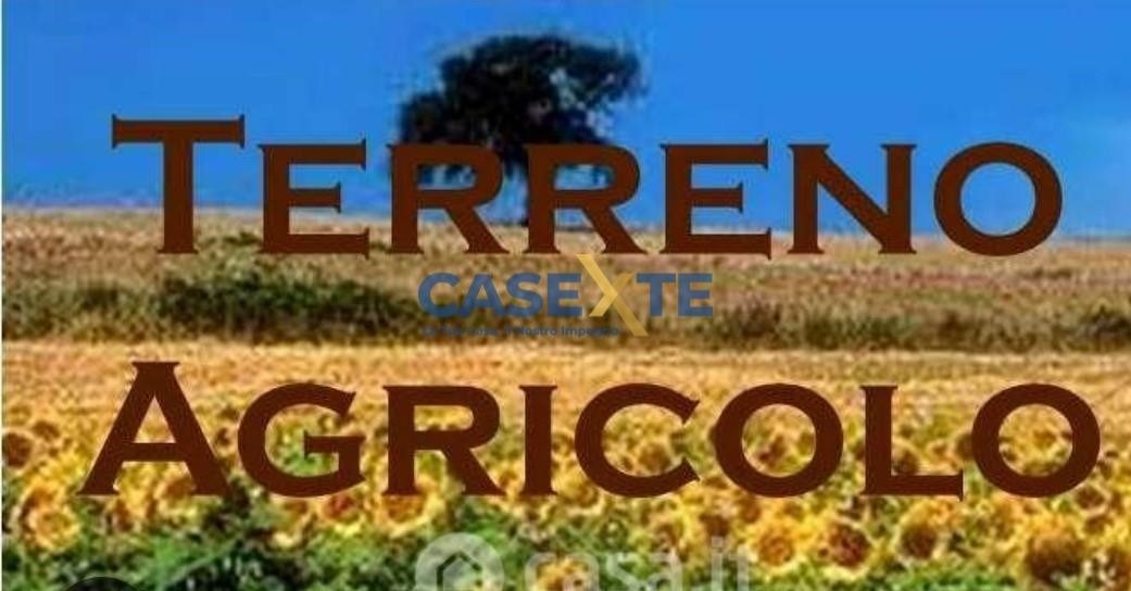 e57767d4-9222-4937-890f-e48a47e92e76 TERRENO AGRICOLO MQ 9.426