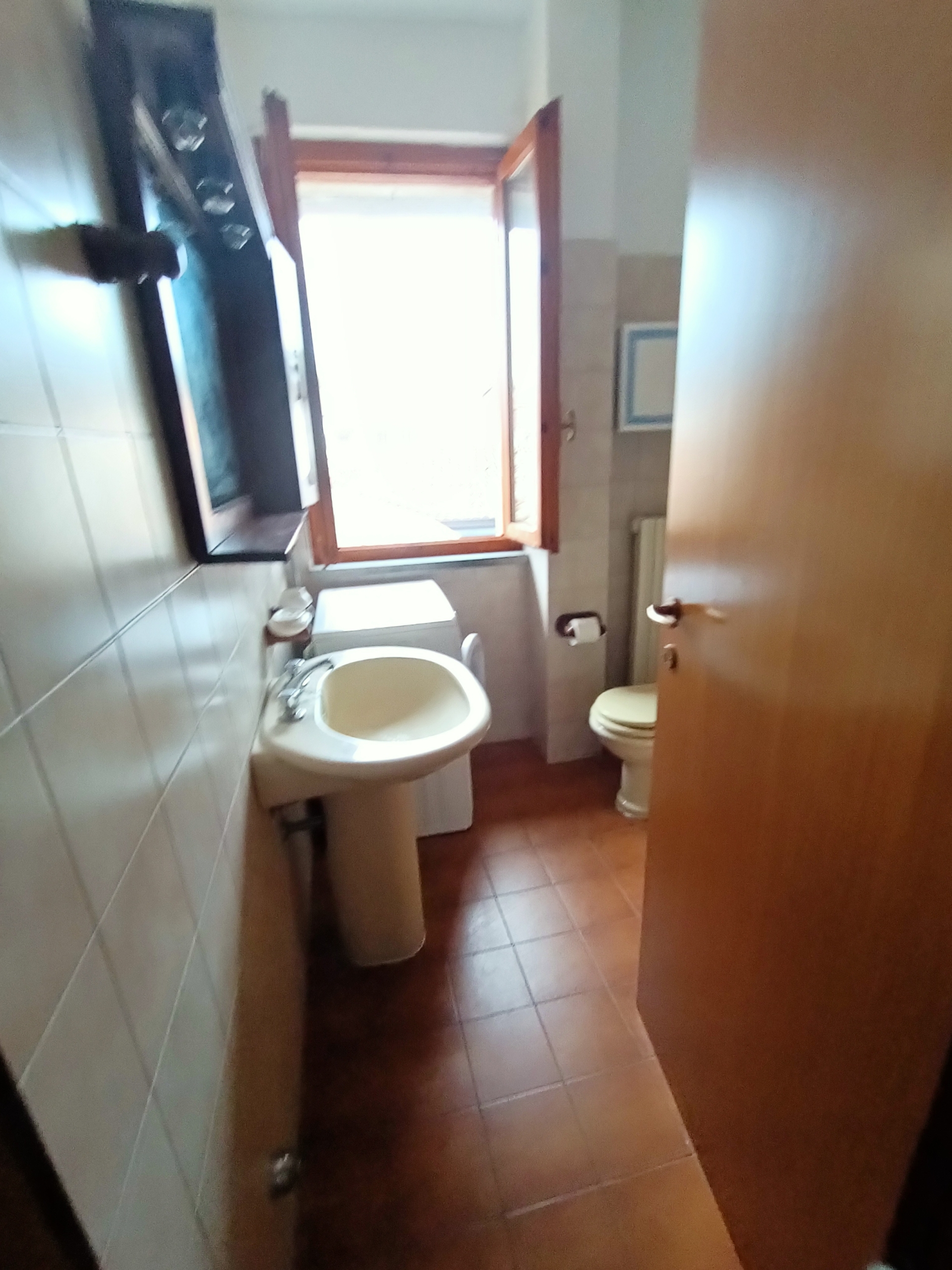 IMG20241009154442 Appartamento
