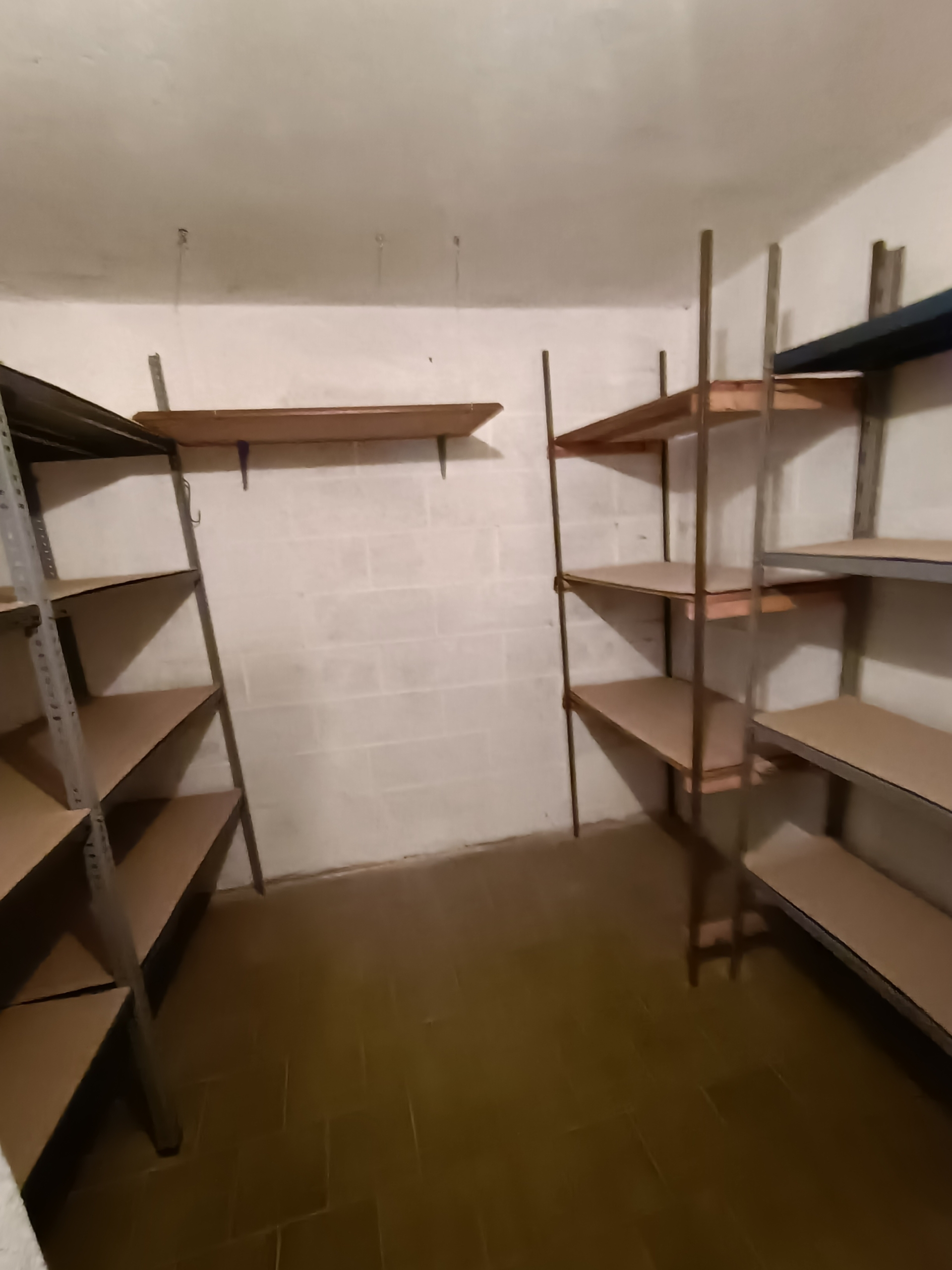 IMG20241009154845 Appartamento